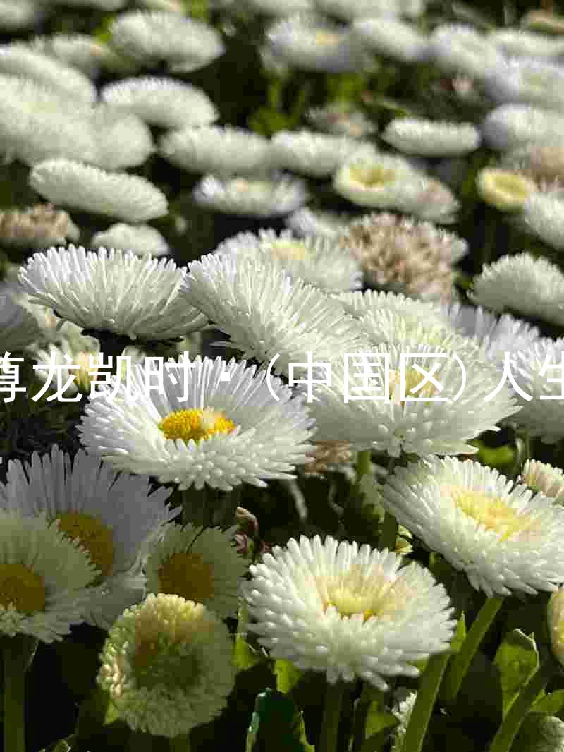尊龙凯时·(中国区)人生